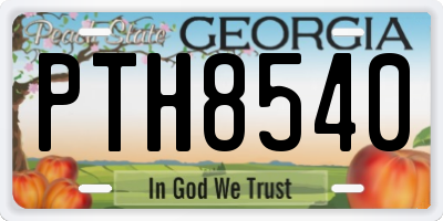 GA license plate PTH8540