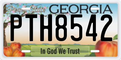 GA license plate PTH8542
