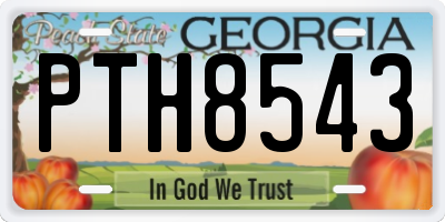 GA license plate PTH8543