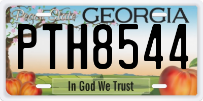 GA license plate PTH8544