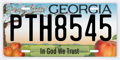 GA license plate PTH8545