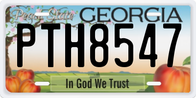 GA license plate PTH8547