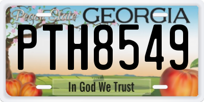GA license plate PTH8549
