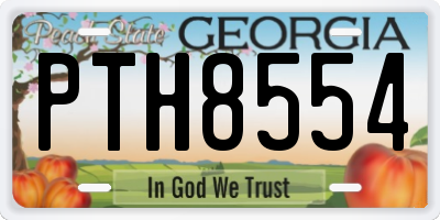 GA license plate PTH8554