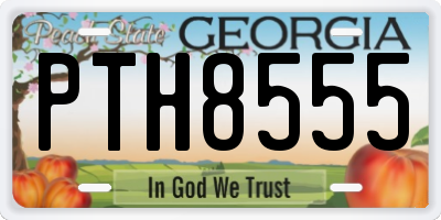 GA license plate PTH8555