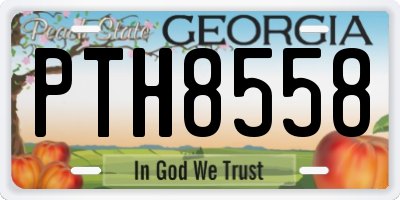 GA license plate PTH8558