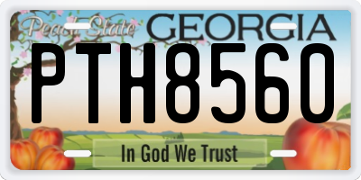 GA license plate PTH8560