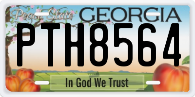 GA license plate PTH8564