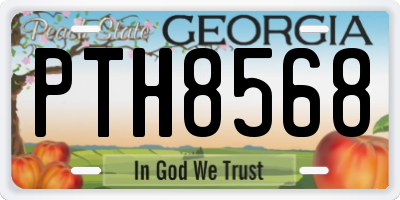 GA license plate PTH8568