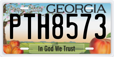 GA license plate PTH8573