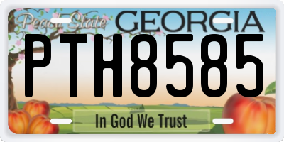 GA license plate PTH8585