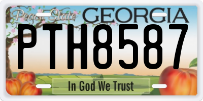 GA license plate PTH8587