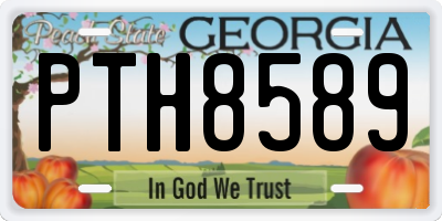 GA license plate PTH8589