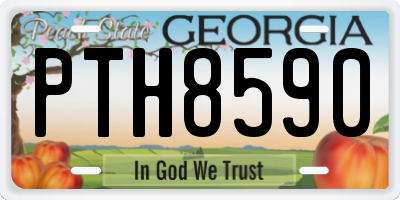 GA license plate PTH8590