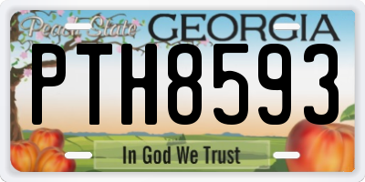 GA license plate PTH8593