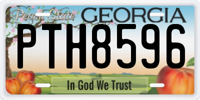 GA license plate PTH8596