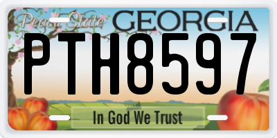 GA license plate PTH8597
