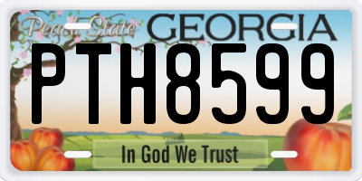 GA license plate PTH8599