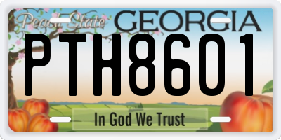 GA license plate PTH8601