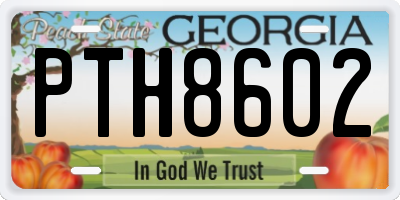 GA license plate PTH8602