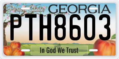 GA license plate PTH8603