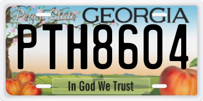 GA license plate PTH8604