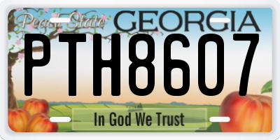 GA license plate PTH8607