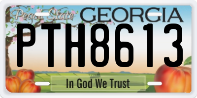 GA license plate PTH8613