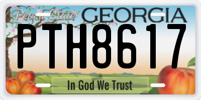 GA license plate PTH8617