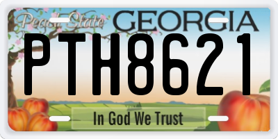 GA license plate PTH8621