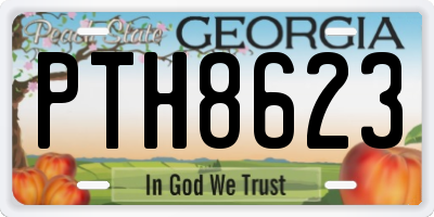 GA license plate PTH8623
