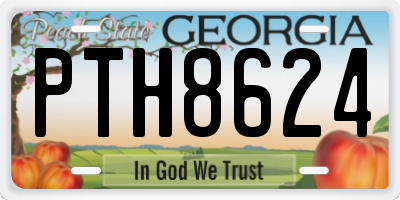 GA license plate PTH8624