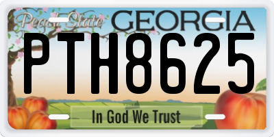 GA license plate PTH8625