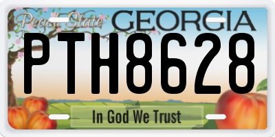 GA license plate PTH8628