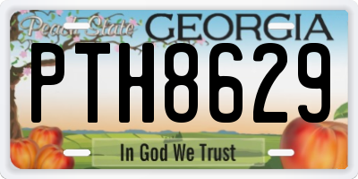 GA license plate PTH8629
