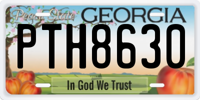 GA license plate PTH8630