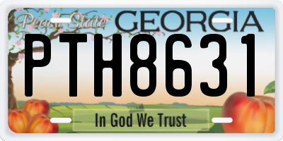 GA license plate PTH8631