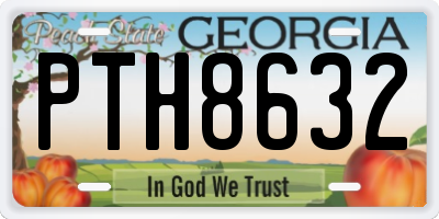 GA license plate PTH8632