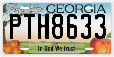 GA license plate PTH8633
