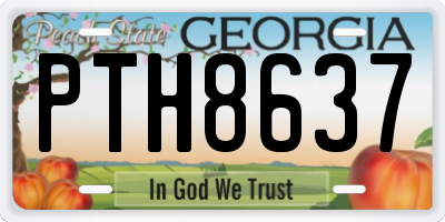 GA license plate PTH8637