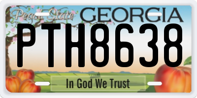 GA license plate PTH8638