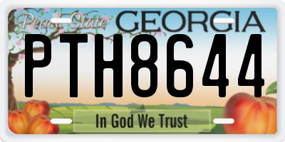 GA license plate PTH8644
