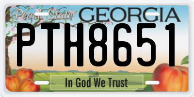 GA license plate PTH8651