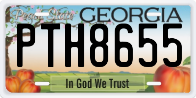 GA license plate PTH8655