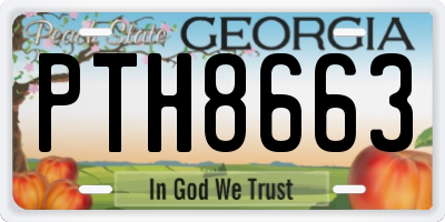 GA license plate PTH8663