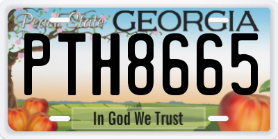 GA license plate PTH8665