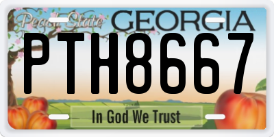 GA license plate PTH8667
