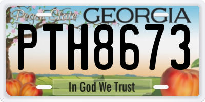 GA license plate PTH8673