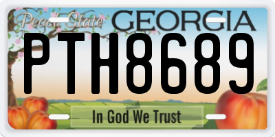 GA license plate PTH8689