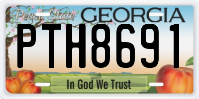 GA license plate PTH8691